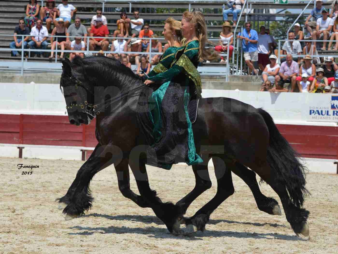 Féria du cheval à Méjanes en 2015 - Sylvie WILLMS - 11