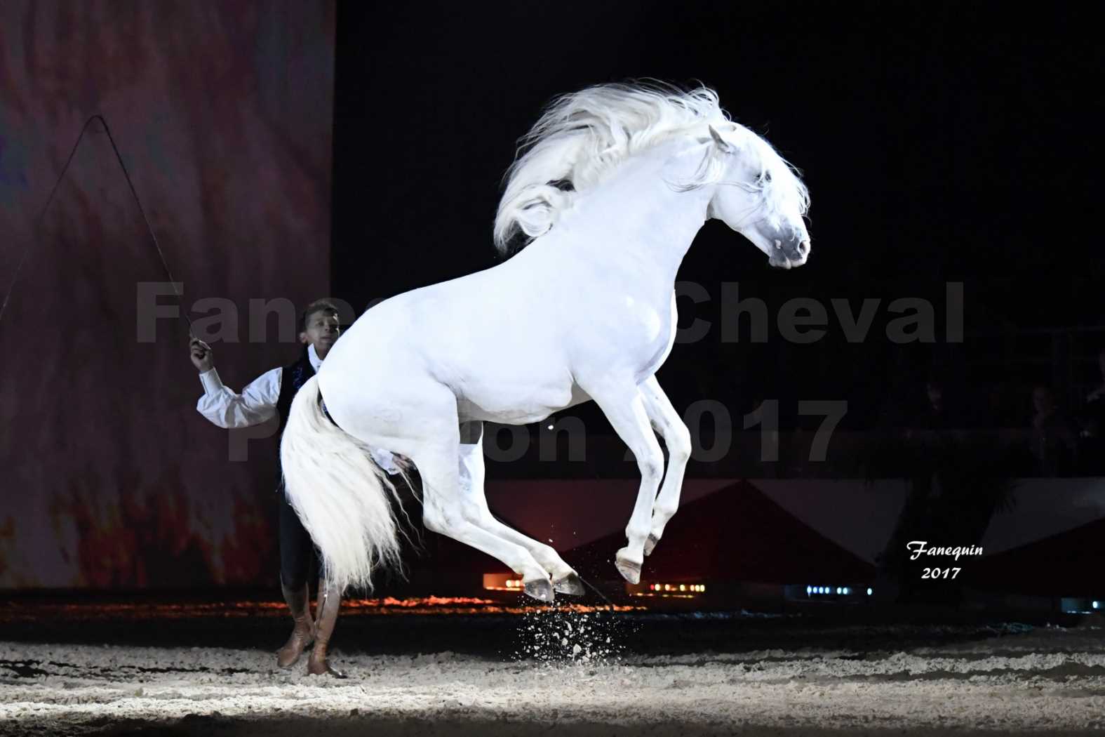 Cheval Passion 2017 - gala des Crinières d'OR - GARI ZOHER - 20