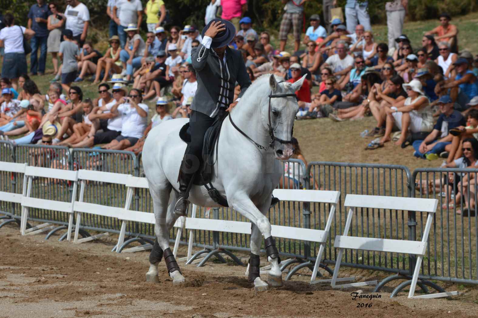 Spectacle équestre le 3 Septembre 2016 au Domaine de GAILLAC - Démonstration de CARROUSEL de chevaux LUSITANIENS - 03