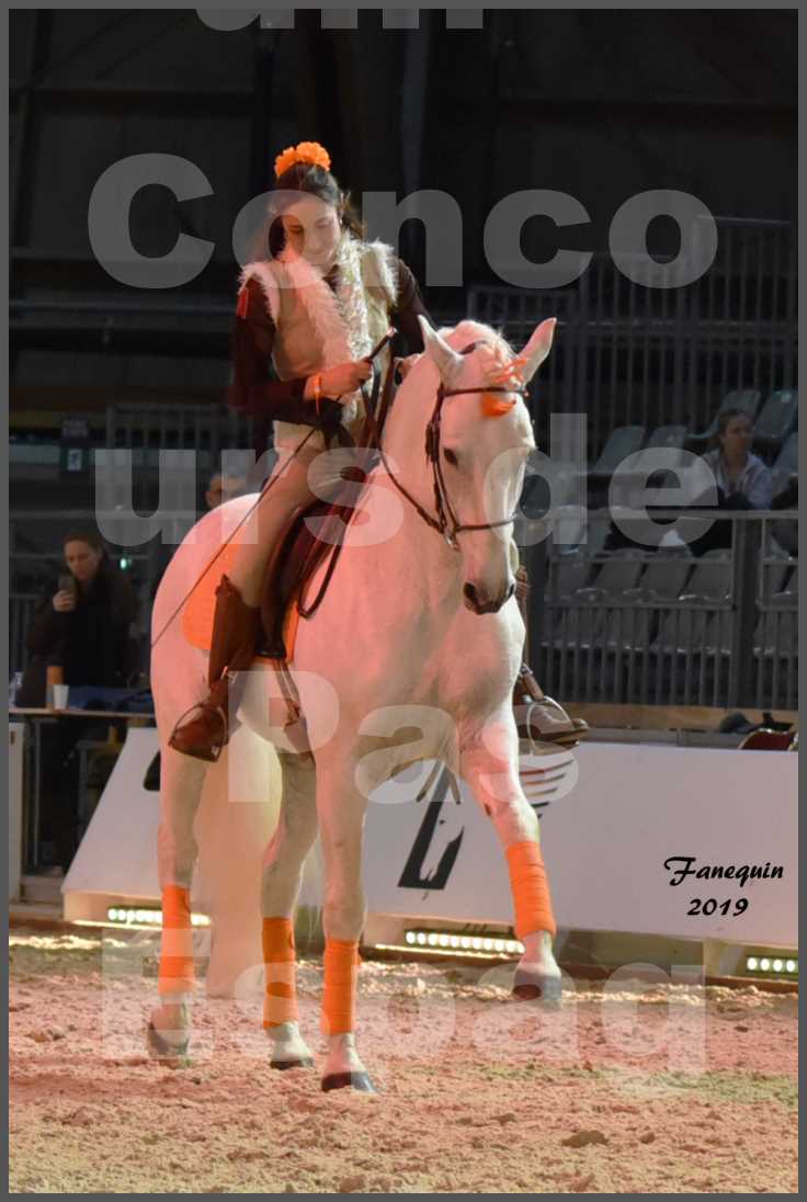 Cheval Passion 2019 - Concours de Pas Espagnol - Étalon "ZIDANE" - 16