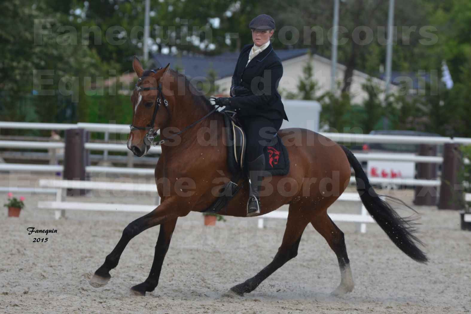 Salon Equitaine de Bordeaux 2015 - Concours d'Equitation de Travail avec chevaux Ibériques - E - 9