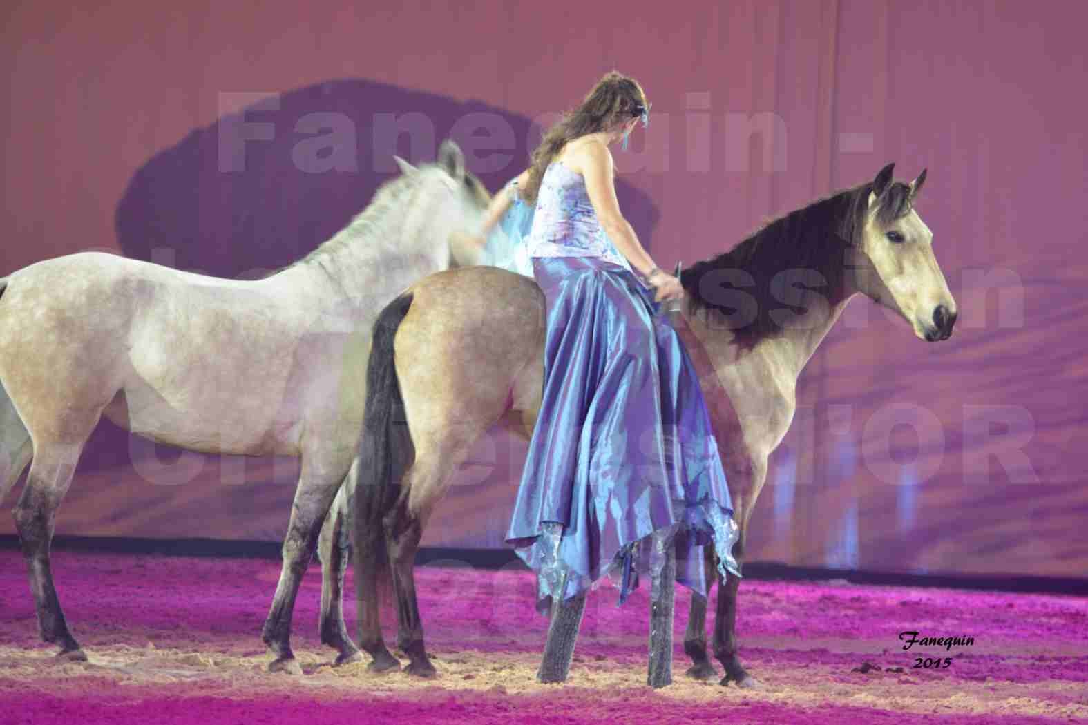 Cheval Passion 2015 - Spectacle des Crinières d'OR - Lucie VAUTHIER & 2 chevaux en liberté - 12