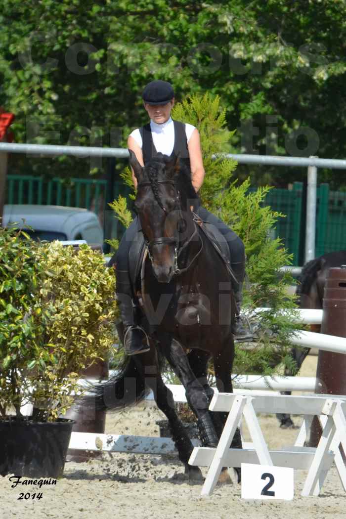 Salon Equitaine de Bordeaux en 2014 - concours Equitation de travail - Épreuve de Maniabilité chronométré - M - 05