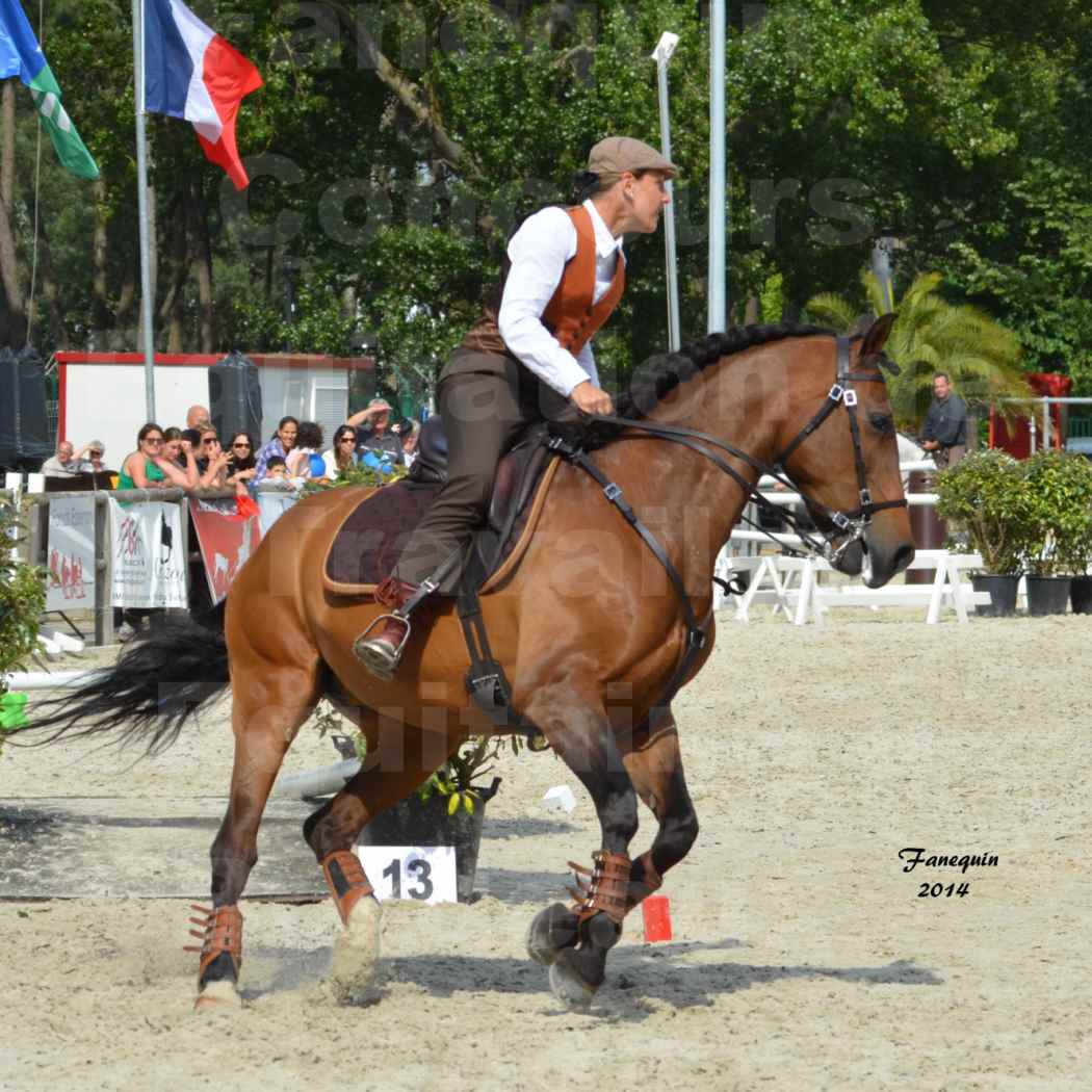 Salon Equitaine de Bordeaux en 2014 - concours Equitation de travail - Épreuve de Maniabilité chronométré - N - 13