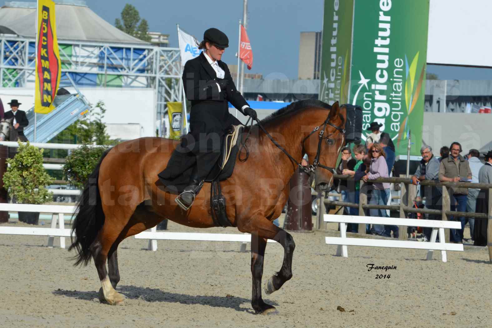 Salon Equitaine de Bordeaux en 2014 - concours Equitation de travail - Épreuve de Dressage - 12