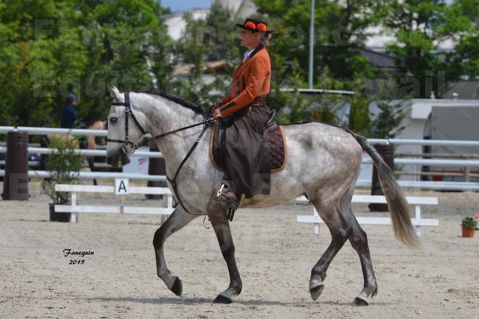 Salon Equitaine de Bordeaux 2015 - Concours d'Equitation de Travail avec chevaux Ibériques - F - 2