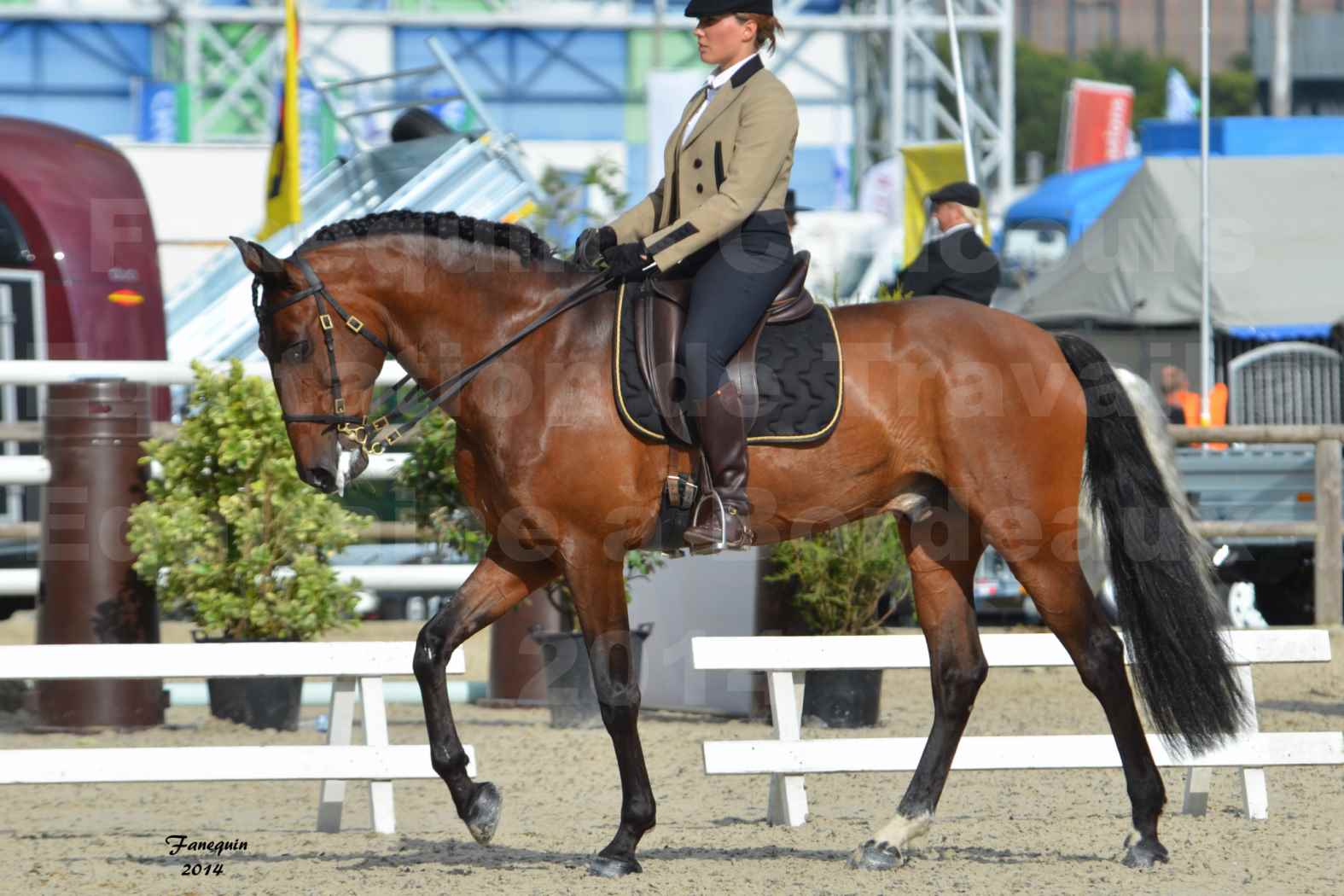 Salon Equitaine de Bordeaux en 2014 - concours Equitation de travail - Épreuve de Dressage - 13