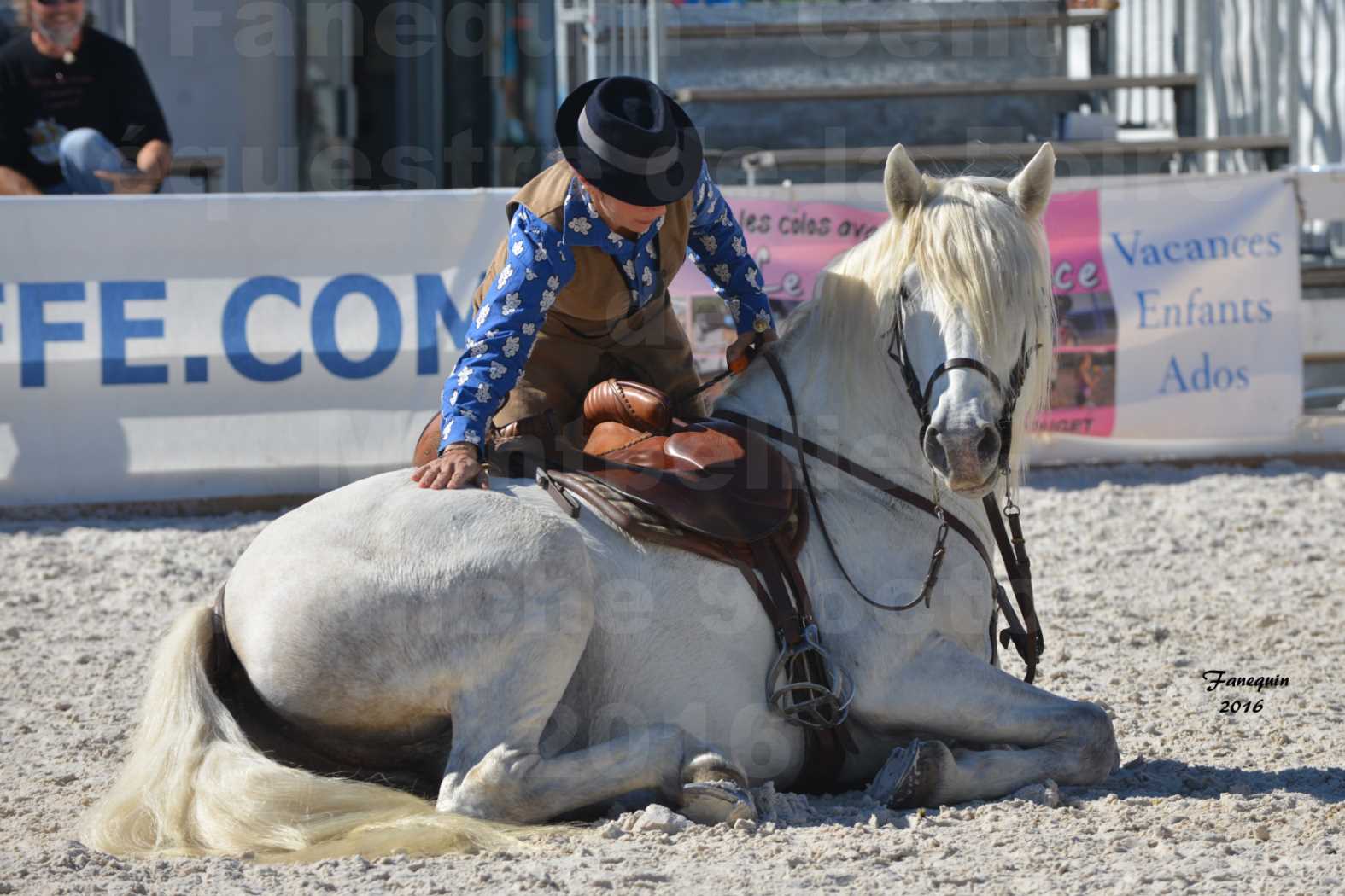 Centre équestre éphémère de la Foire de Montpellier 2016 - Dimanche 09 Octobre 2016 - Cavalières Camarguaises - 4