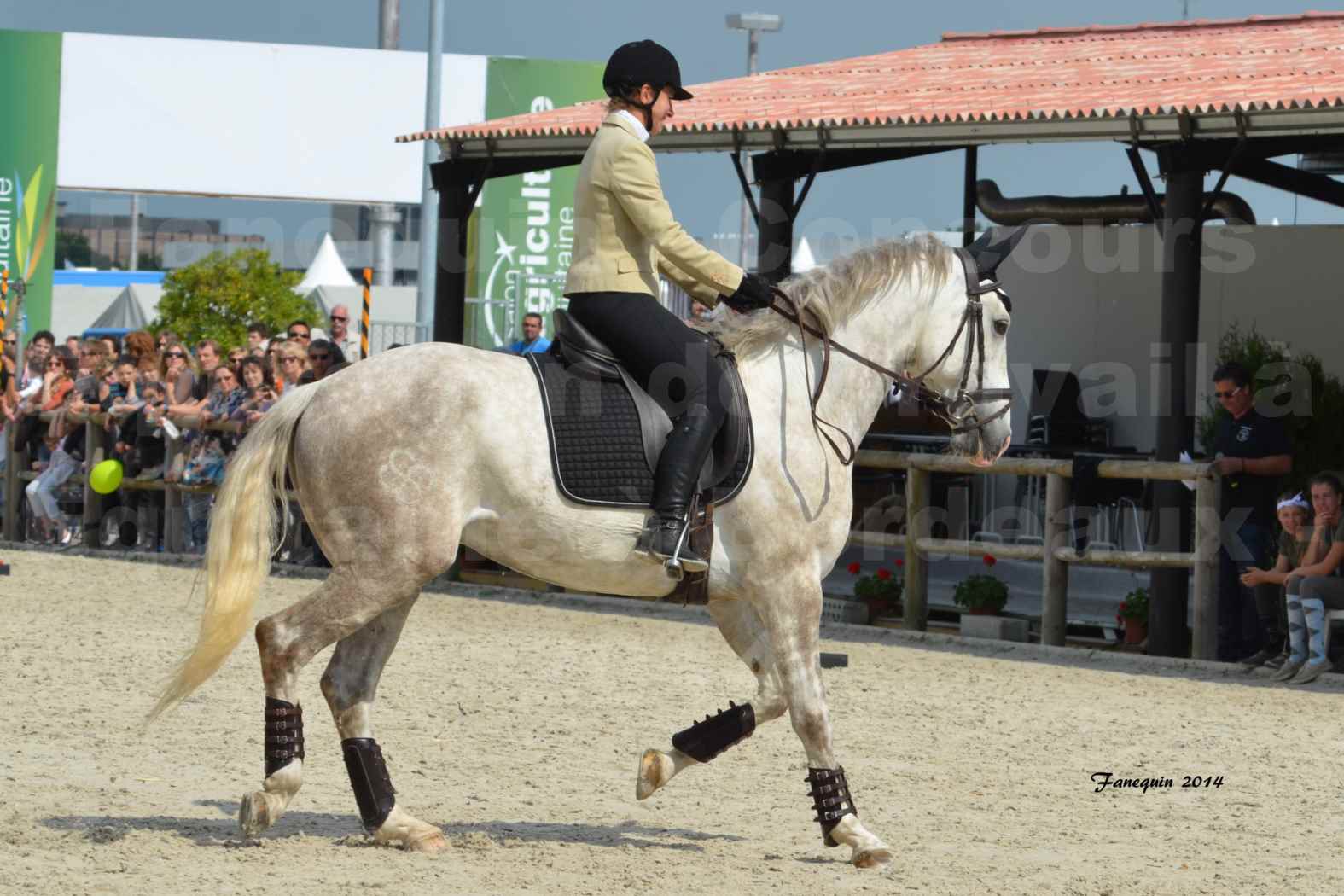 Salon Equitaine de Bordeaux en 2014 - concours Equitation de travail - Épreuve de Maniabilité chronométré - B - 07