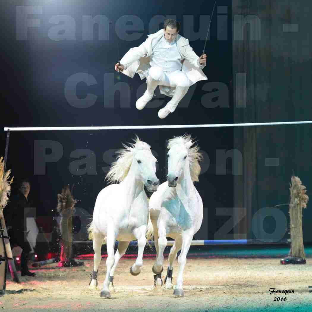 Cheval Passion 2016 - Spectacle les Crinières d'OR - LORENZO "Blanc" - représentation du 23 janvier 2016 - 06