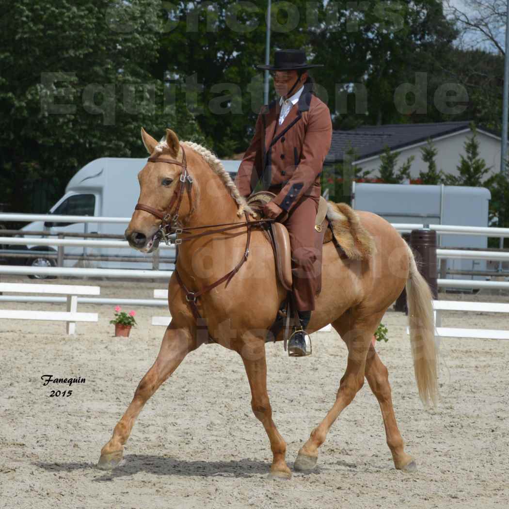 Salon Equitaine de Bordeaux 2015 - Concours d'Equitation de Travail avec chevaux Ibériques - T - 3