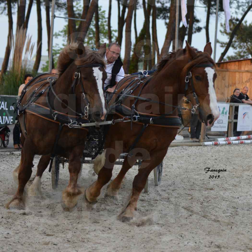Salon Equitaine de Bordeaux 2015 - Présentation attelage en paire chevaux de trait - 5
