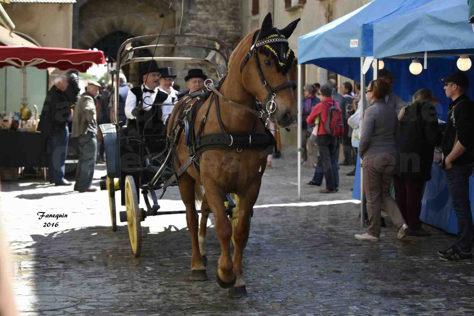 Défilé de calèches de 1900 dans les rues de Villeneuve d'Aveyron le 15 mai 2016 - Attelage simple de Trotteur - calèche 4 roues - 3