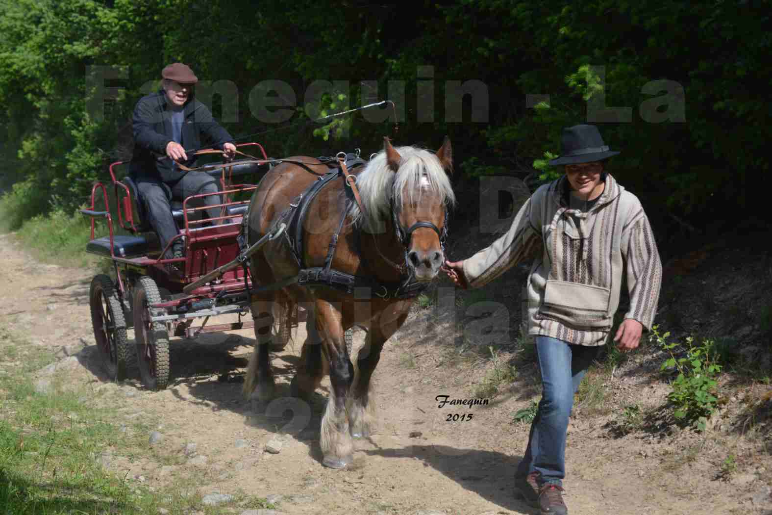 La Route Du Beaujolais 2015 - samedi 23 mai 2015 - parcours en matinée - 34