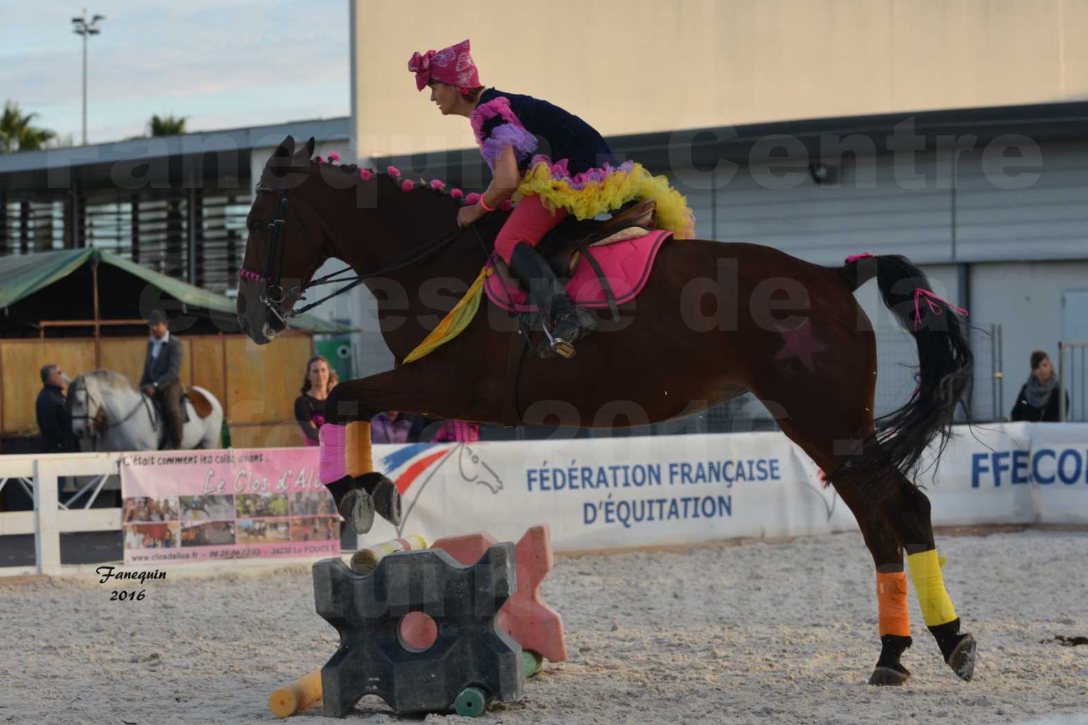 Centre équestre éphémère de la Foire de Montpellier 2016 - Mardi 11 Octobre 2016 - Spectacle Nocturne - 16