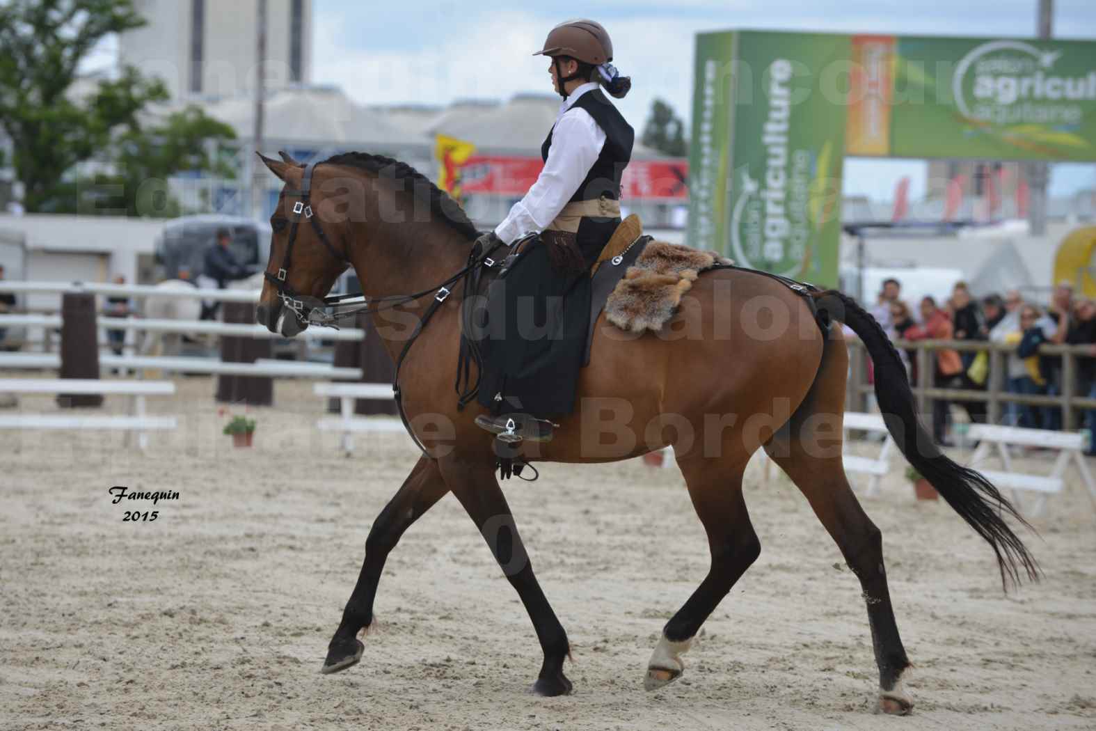Salon Equitaine de Bordeaux 2015 - Concours d'Equitation de Travail avec chevaux Ibériques - G - 2