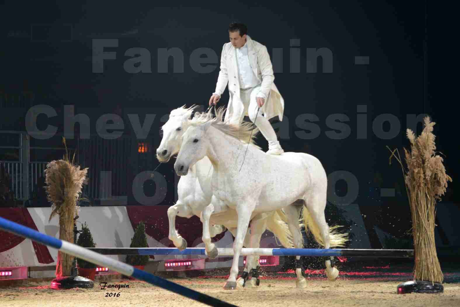 Cheval Passion 2016 - Spectacle les Crinières d'OR - LORENZO "Blanc" - représentation du 20 janvier 2016 - 03