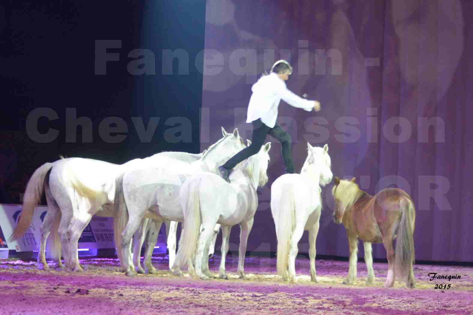 Cheval Passion 2015 - Les Crinières d'OR - Jean François PIGNON - 6