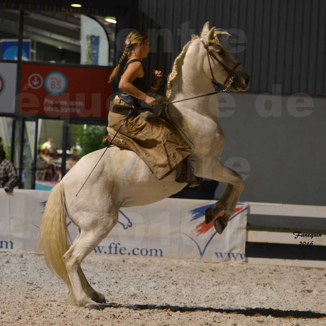 Centre équestre éphémère de la Foire de Montpellier 2016 - Mardi 11 Octobre 2016 - Spectacle Nocturne - 45