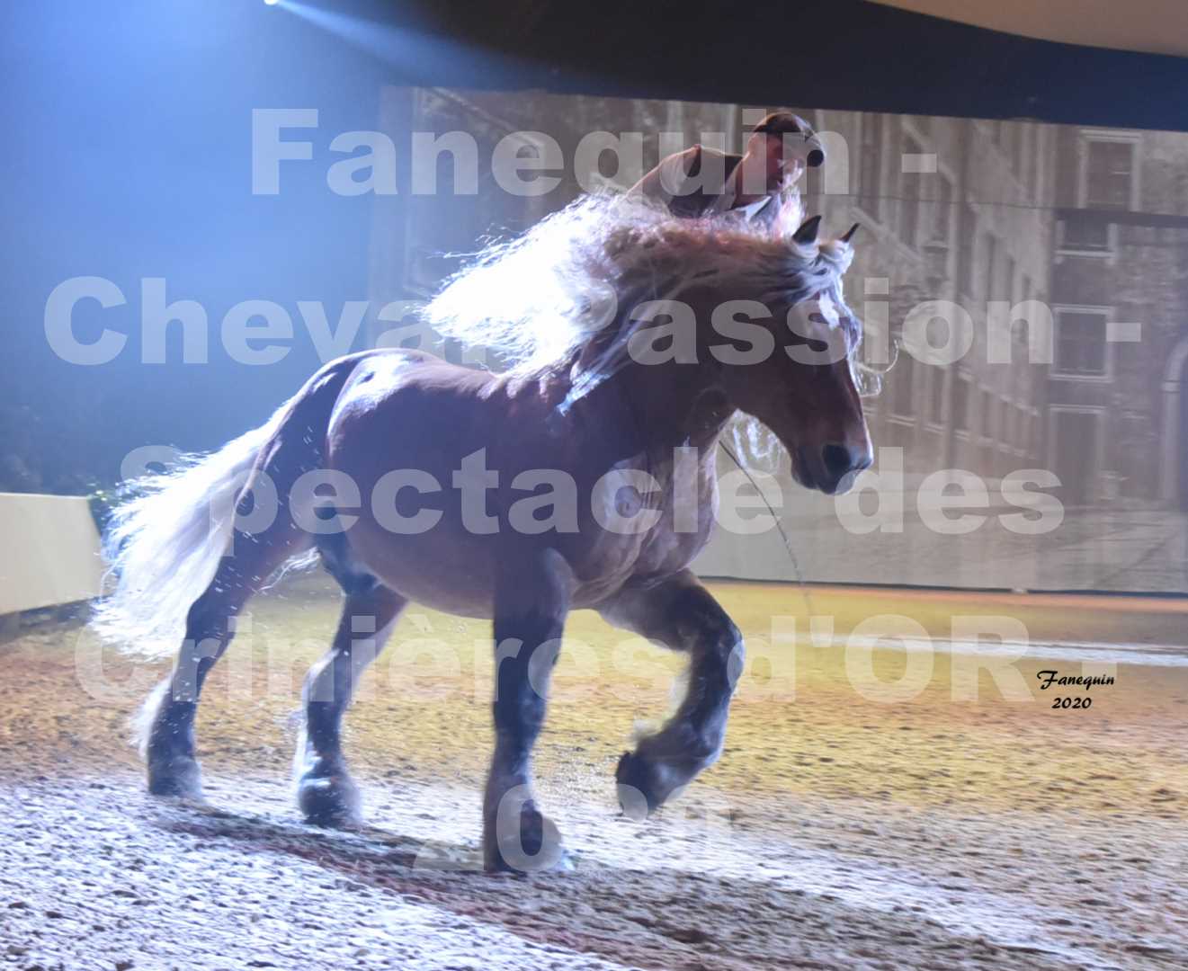 Cheval Passion 2020 - Les Crinières d'OR - Samuel HAFRAD & Jérôme SEFER - 14