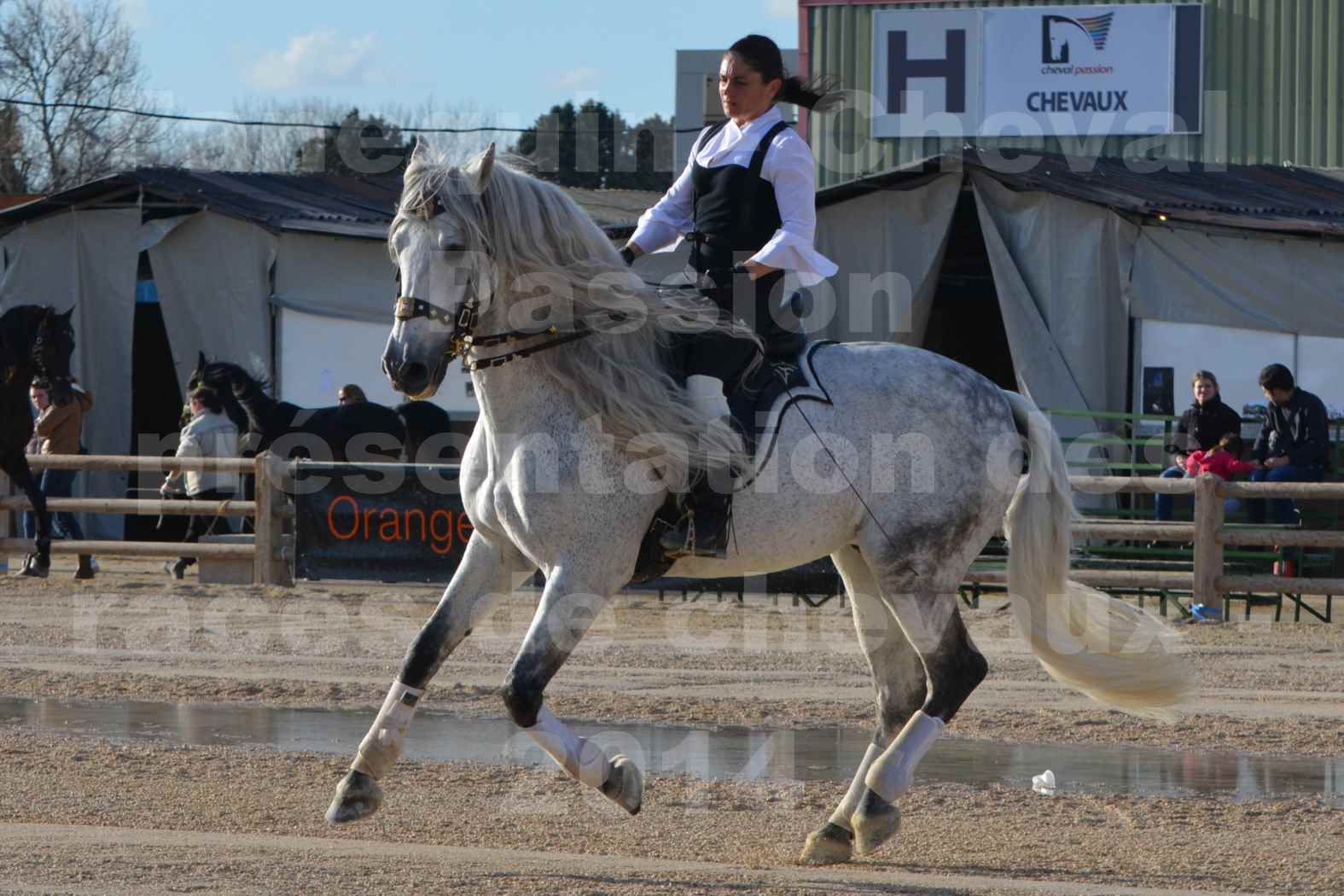 Cheval Passion 2014 - Frédériq VIGNE - Notre Sélection - 04