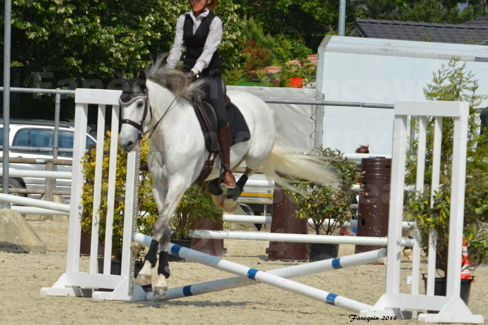 Salon Equitaine de Bordeaux en 2014 - concours Equitation de travail - Épreuve de Maniabilité chronométré - G - 7