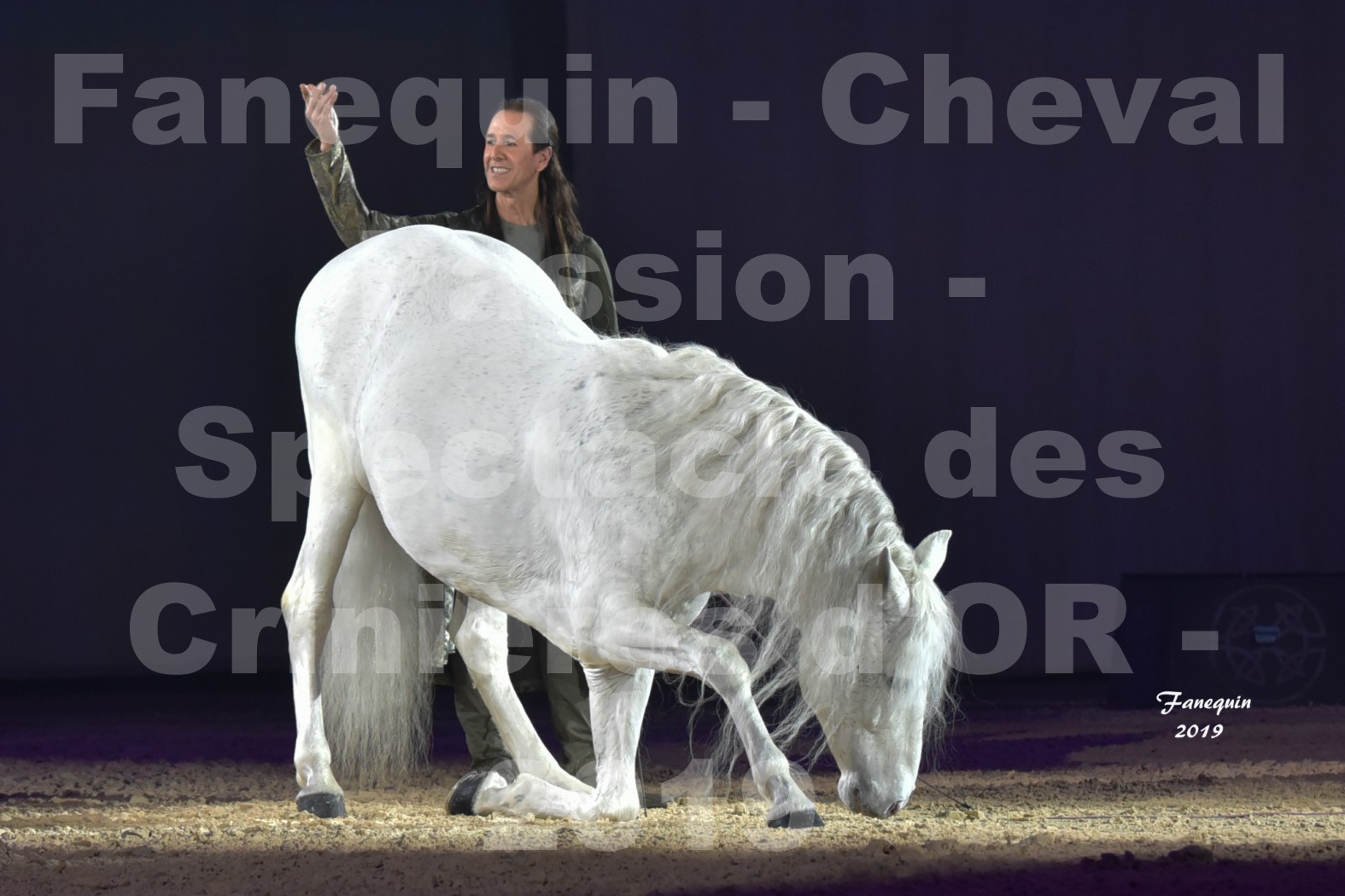 Cheval Passion 2019 - Spectacle des CRINIÈRES d'OR - Frédéric PIGNON & Cheval Gris en liberté - 7