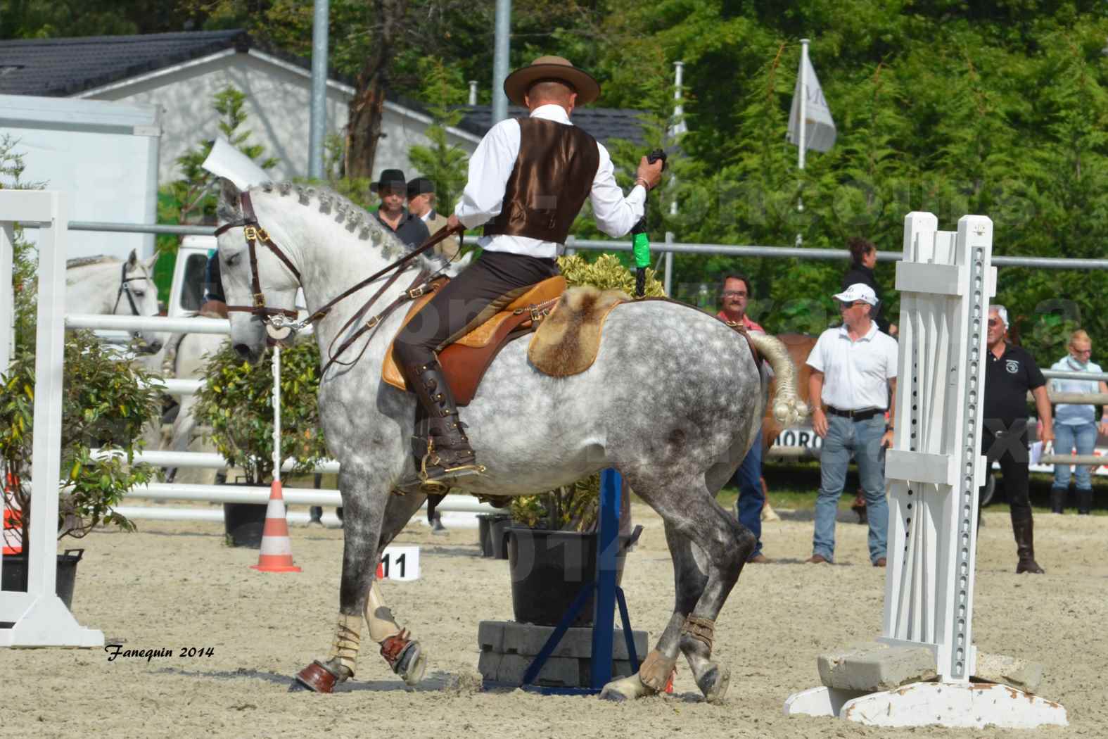 Salon Equitaine de Bordeaux en 2014 - concours Equitation de travail - Épreuve de Maniabilité chronométré - P - 31