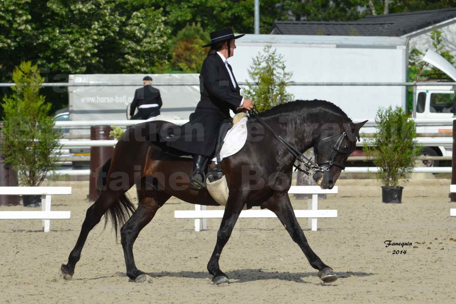 Salon Equitaine de Bordeaux en 2014 - concours Equitation de travail - Épreuve de Dressage - 13