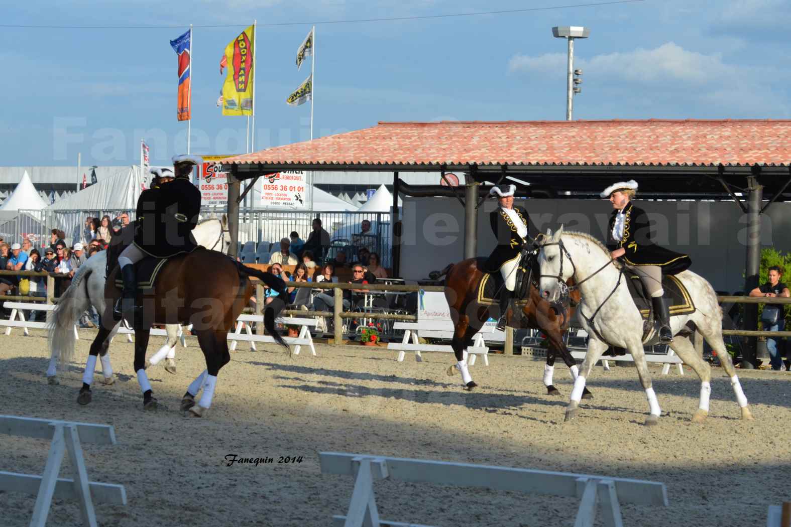 Carrousel de cavalières Equitation de travail lors du salon "Equitaine" à Bordeaux en 2014 - 50
