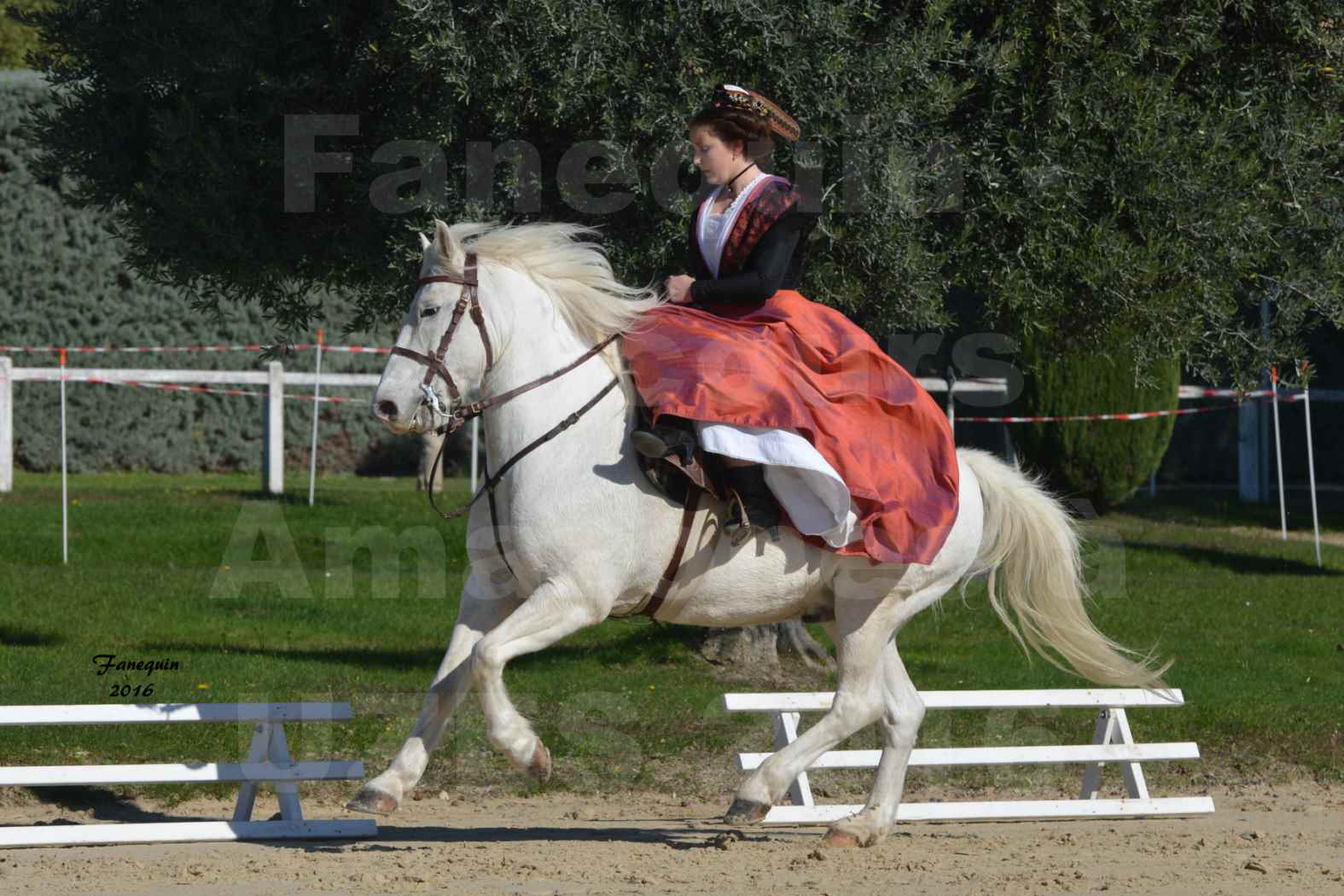 Concours Élégance d'Amazone au Haras d'UZES en Octobre 2016 - Léa CONTE - 01
