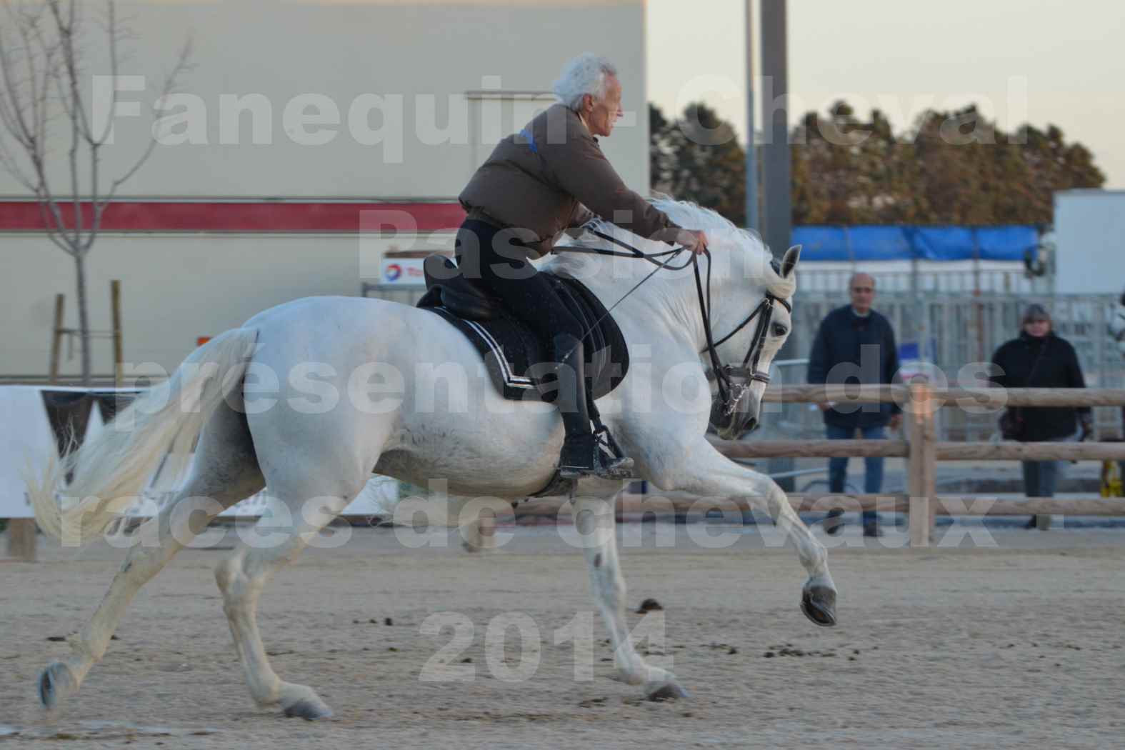 Cheval Passion 2014 - Etalon "GALAN"  blanc écurie Alain LAUZIER - Notre Sélection - 28