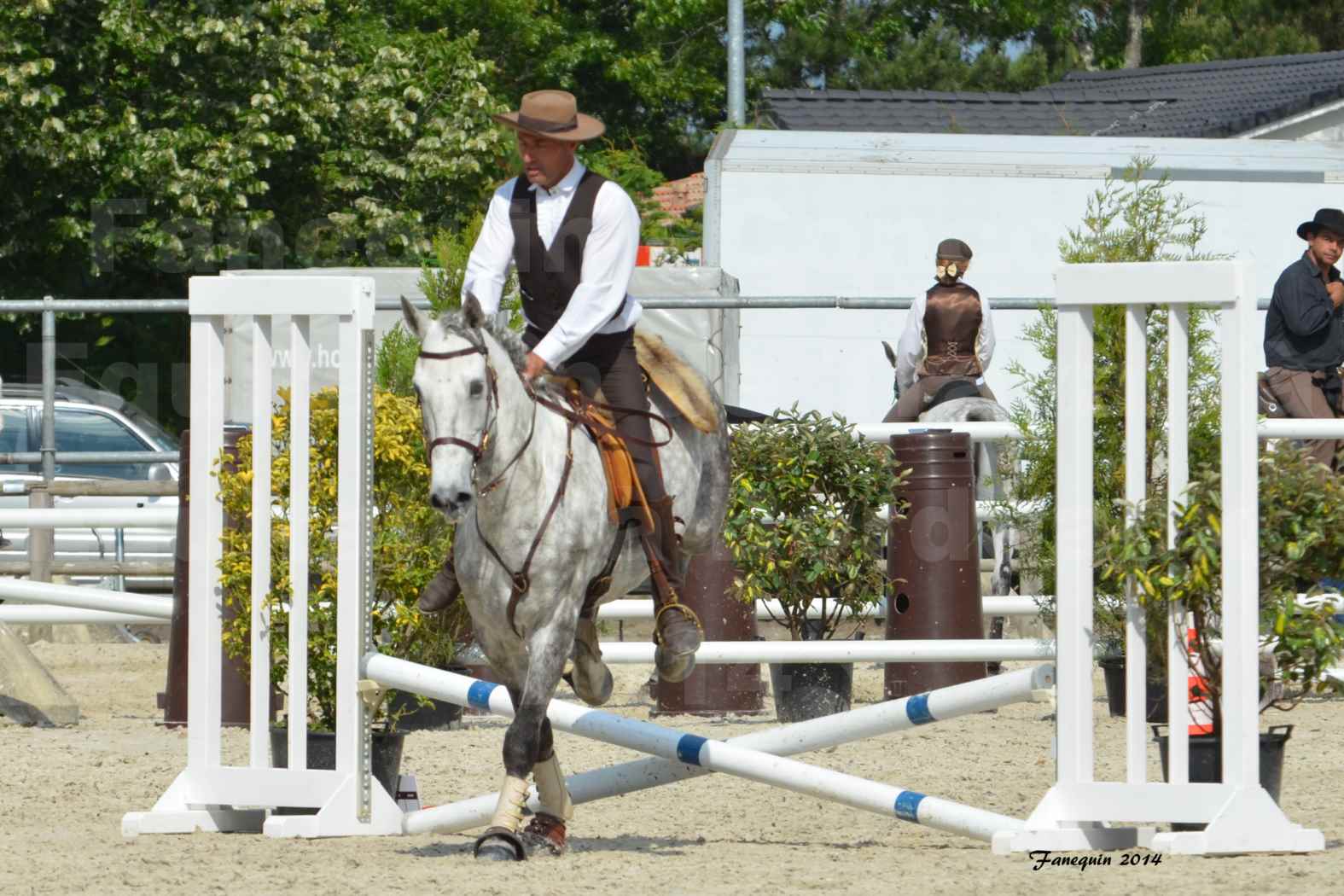 Salon Equitaine de Bordeaux en 2014 - concours Equitation de travail - Épreuve de Maniabilité chronométré - P - 36