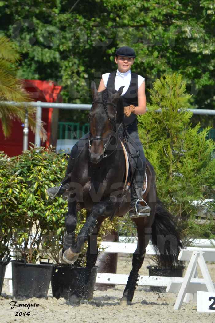 Salon Equitaine de Bordeaux en 2014 - concours Equitation de travail - Épreuve de Maniabilité chronométré - M - 06