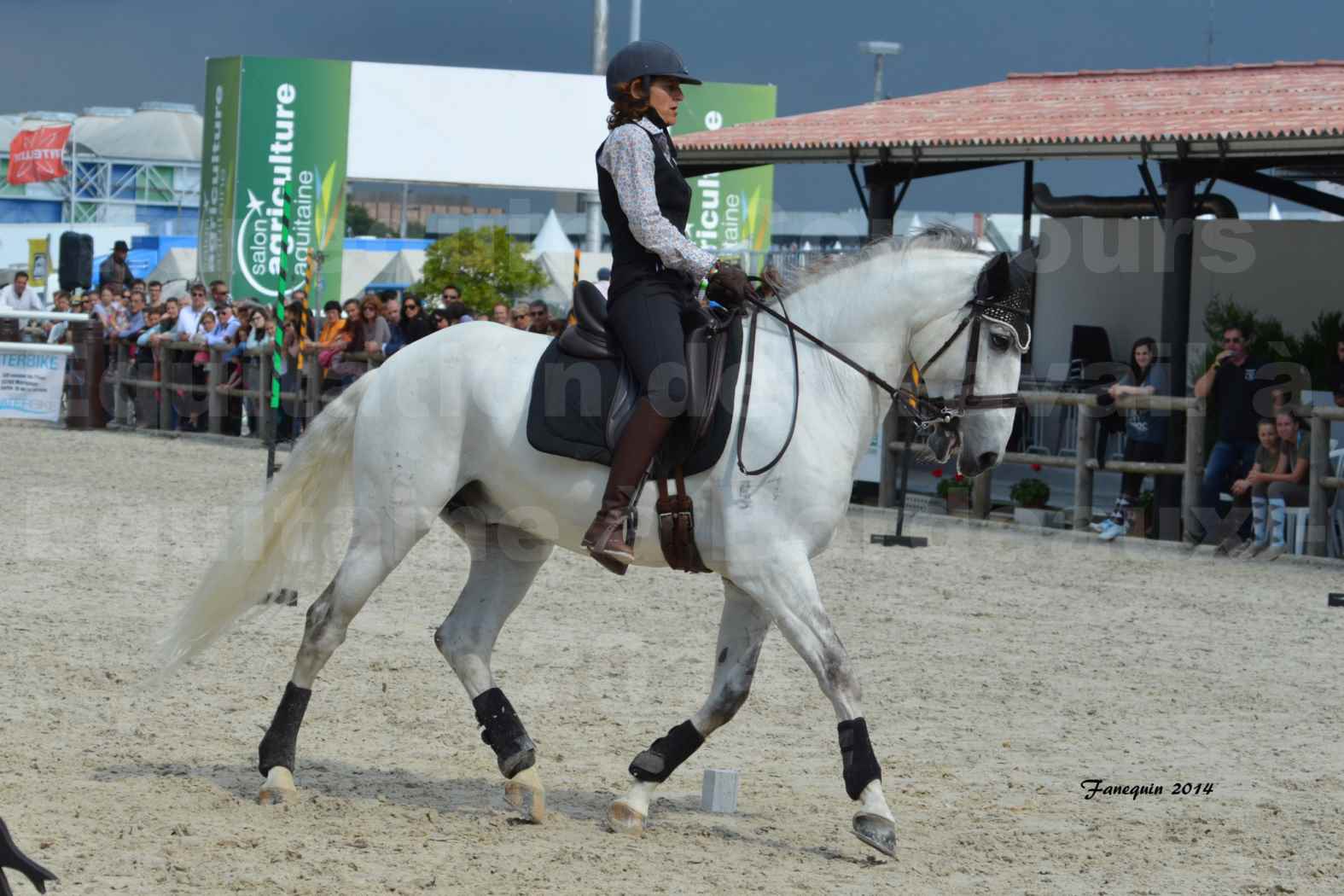 Salon Equitaine de Bordeaux en 2014 - concours Equitation de travail - Épreuve de Maniabilité chronométré - G - 1