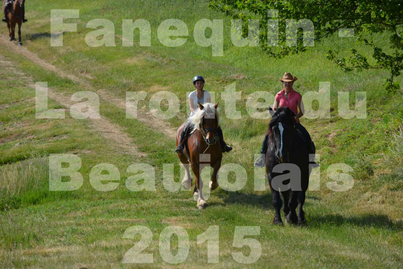 La Route Du Beaujolais 2015 - dimanche 24 mai 2015 - parcours en matinée - 40