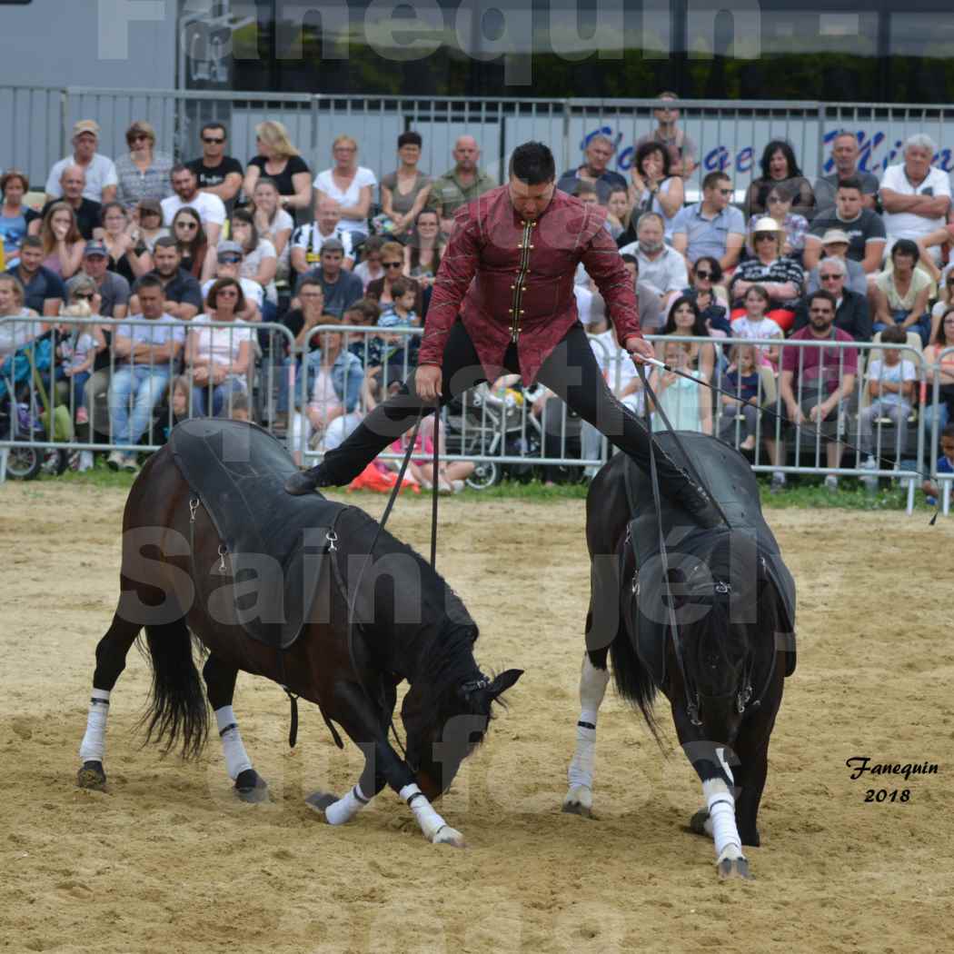 Spectacle Équestre le 3 juin 2018 à Saint Gély du Fesc - Poste Hongroise de 2 à 6 chevaux - Benoît SOUMILLE - 1