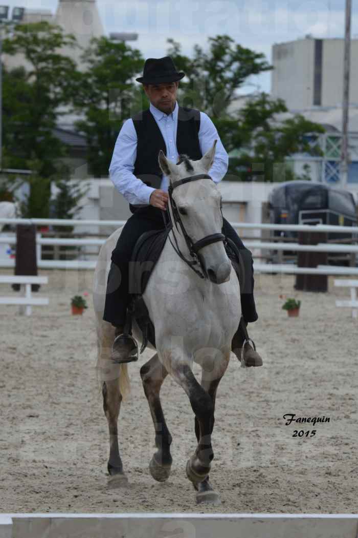Salon Equitaine de Bordeaux 2015 - Concours d'Equitation de Travail avec chevaux Ibériques - M - 3