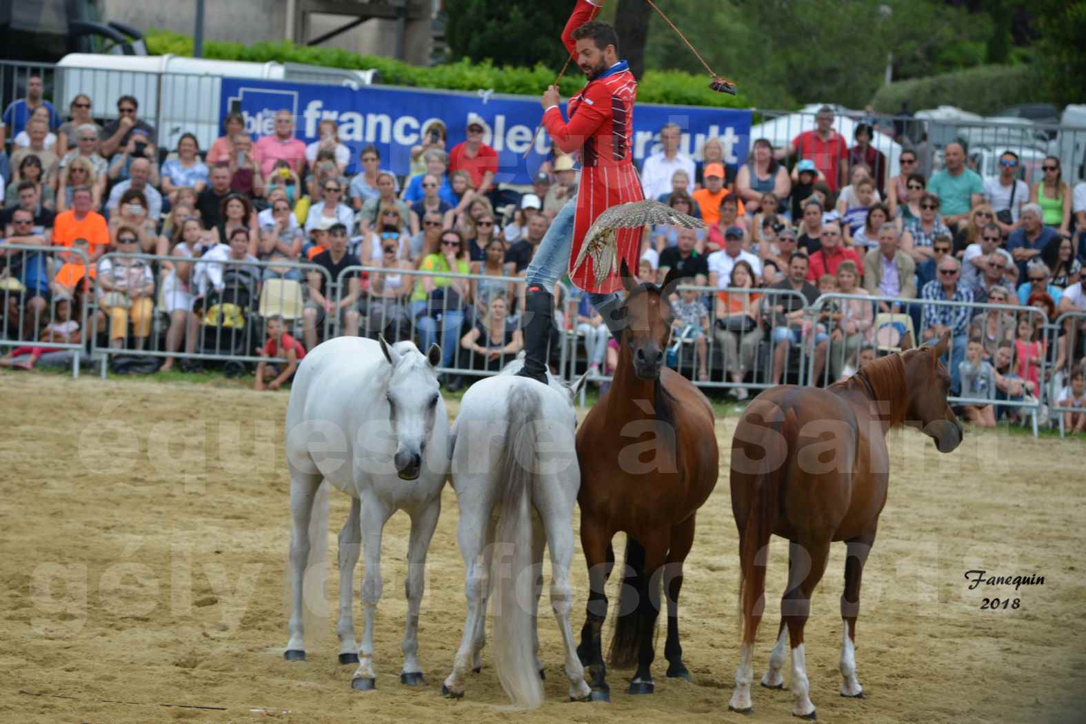 Spectacle Équestre le 3 juin 2018 à Saint Gély du Fesc - Chevaux en liberté - SANTI SERRA - 3