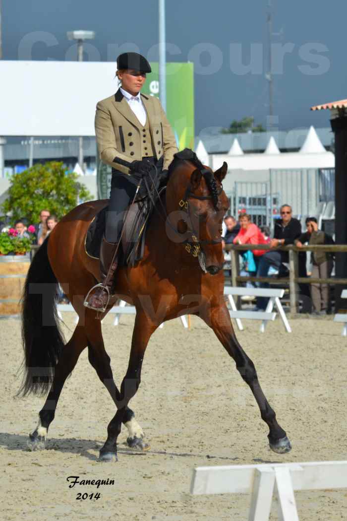 Salon Equitaine de Bordeaux en 2014 - concours Equitation de travail - Épreuve de Dressage - 11