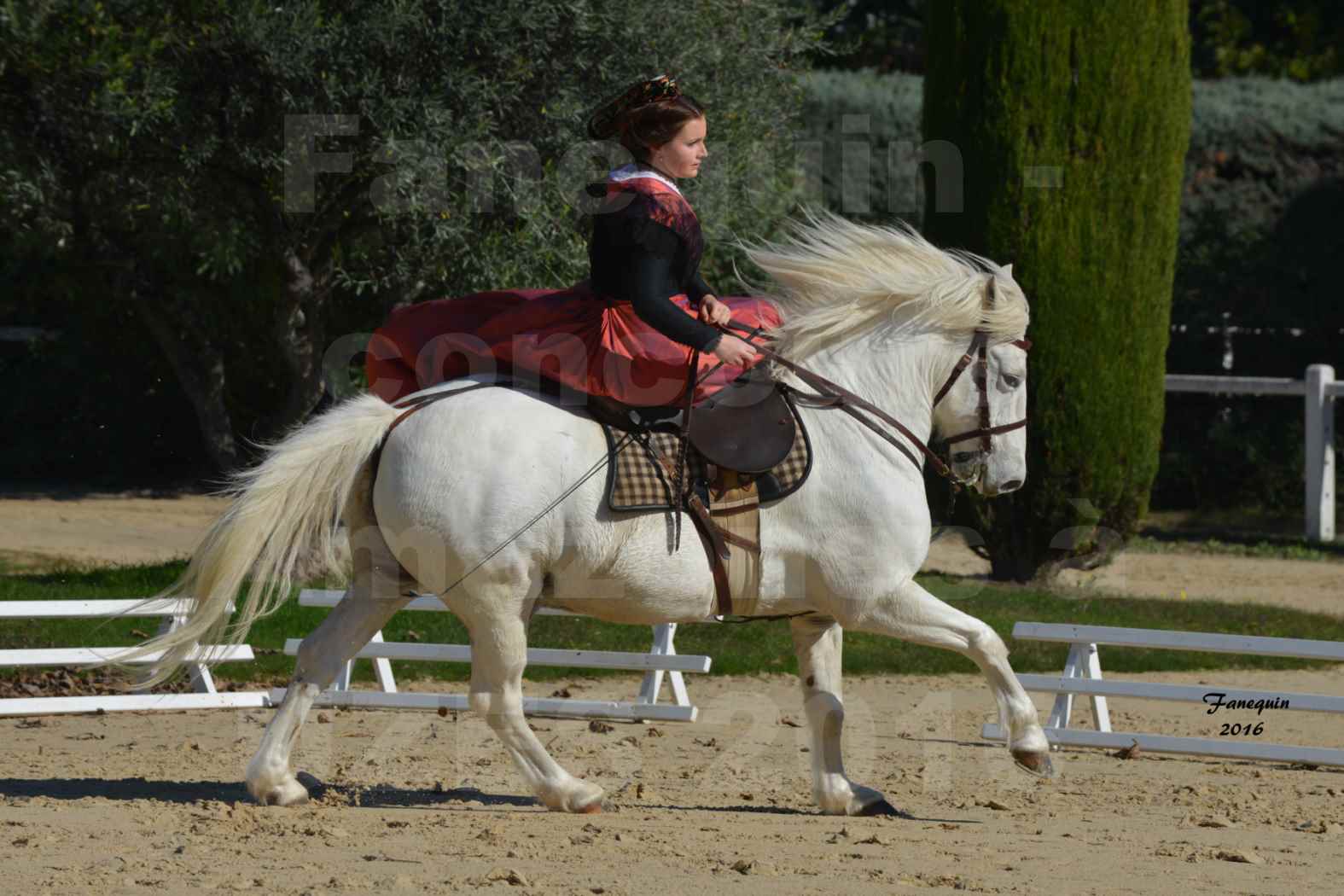 Concours Élégance d'Amazone au Haras d'UZES en Octobre 2016 - Léa CONTE - 11