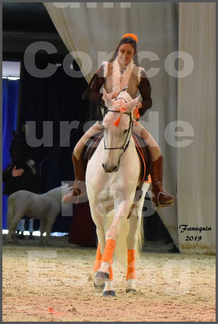 Cheval Passion 2019 - Concours de Pas Espagnol - Étalon "ZIDANE" - 55