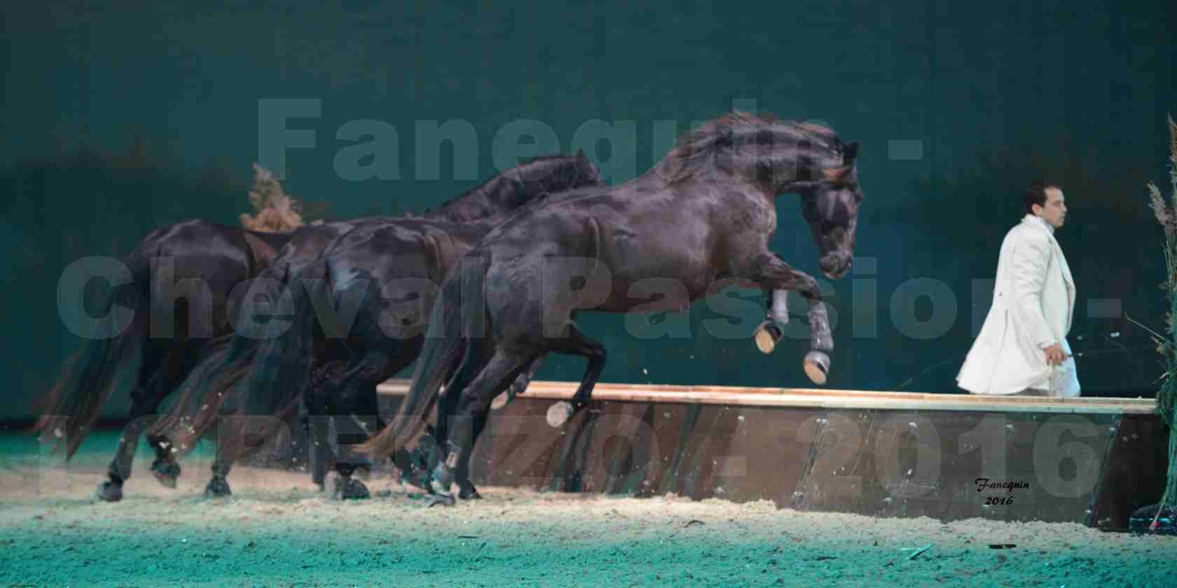 Cheval Passion 2016 - Spectacle les Crinières d'OR - LORENZO "Blanc" - représentation du 23 janvier 2016 - 18