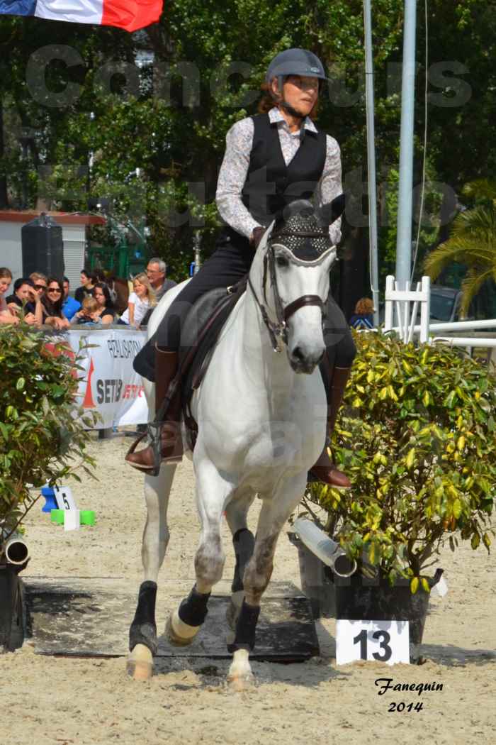 Salon Equitaine de Bordeaux en 2014 - concours Equitation de travail - Épreuve de Maniabilité chronométré - G - 8