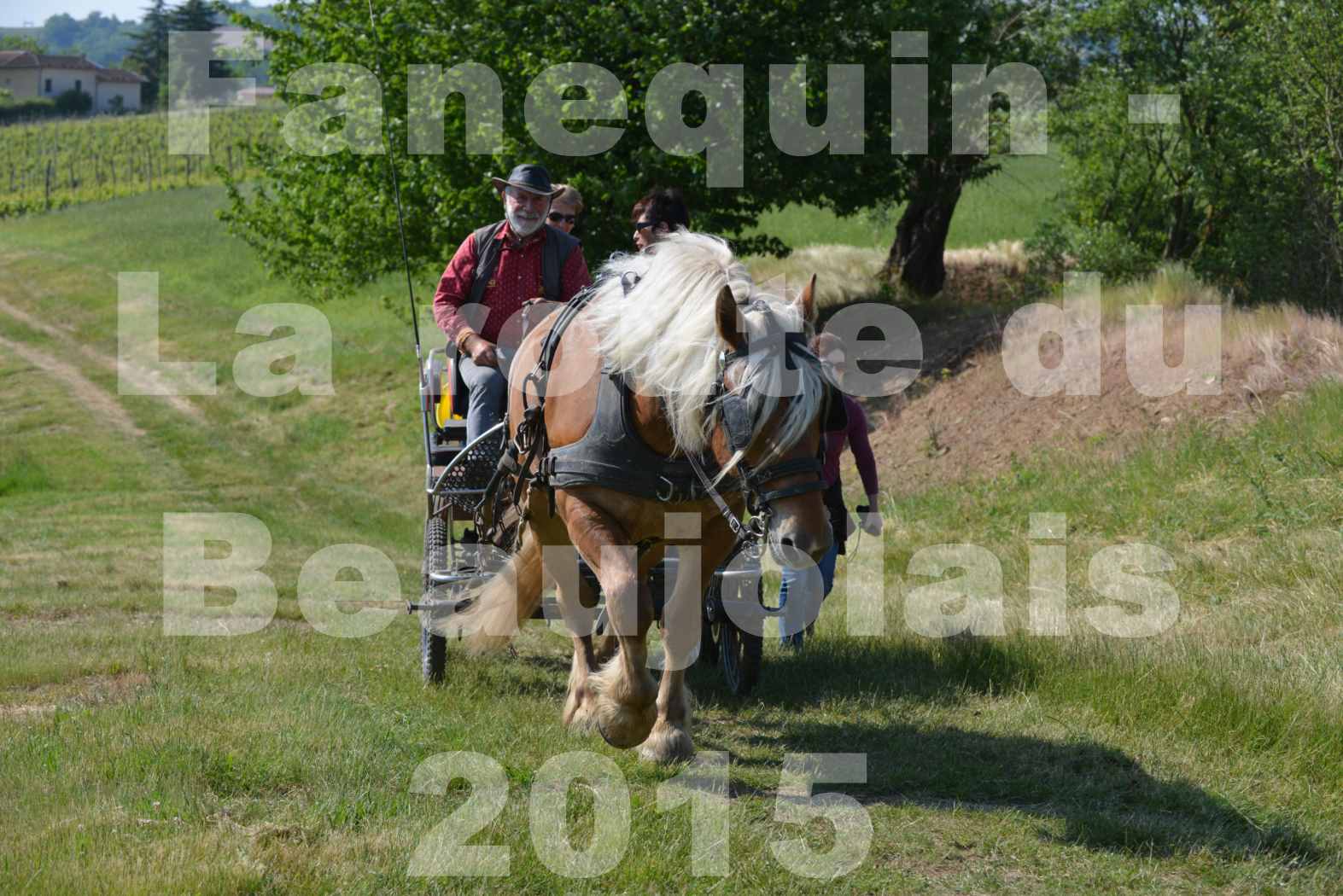 La Route Du Beaujolais 2015 - dimanche 24 mai 2015 - parcours en matinée - 53