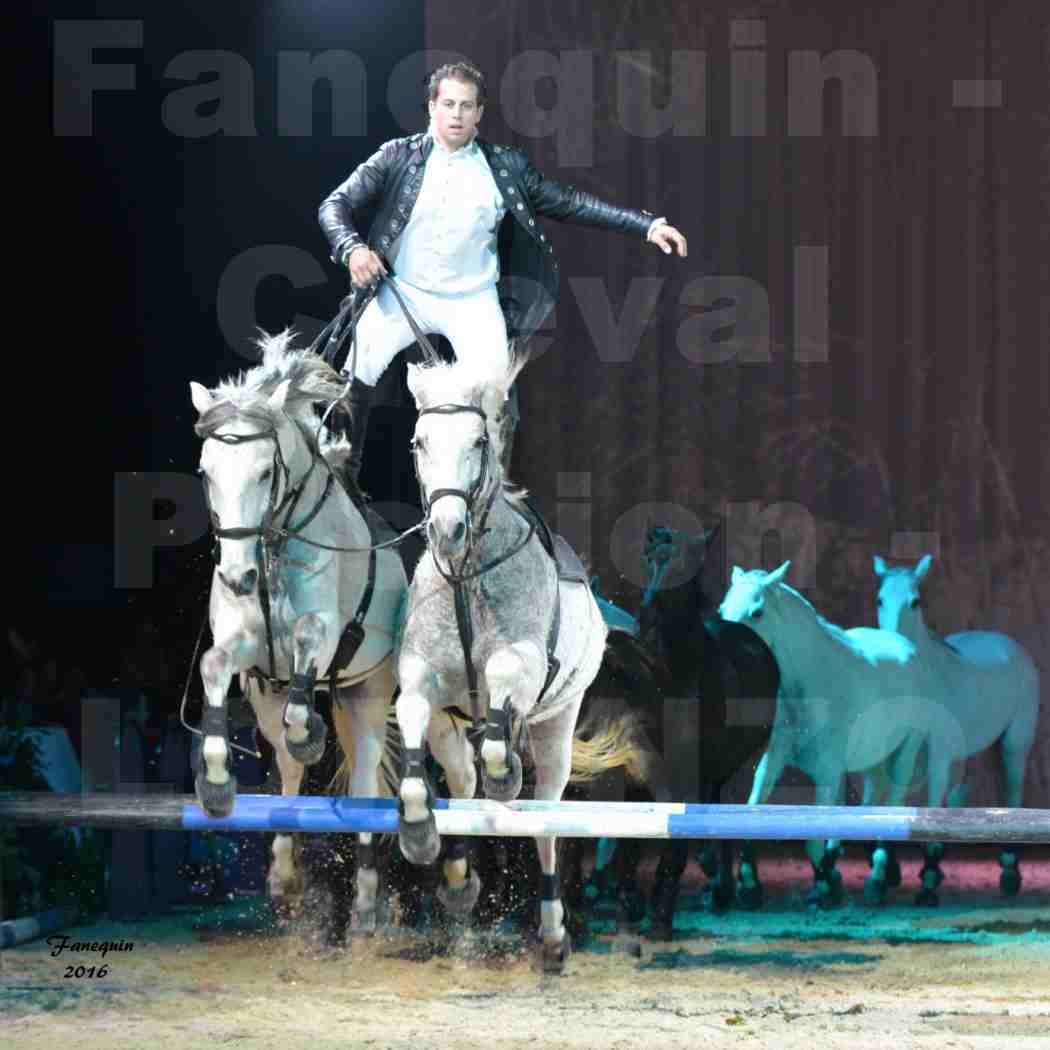 Cheval Passion 2016 - Spectacle les Crinières d'OR - LORENZO "Noir" - représentation du 23 janvier 2016 - 27