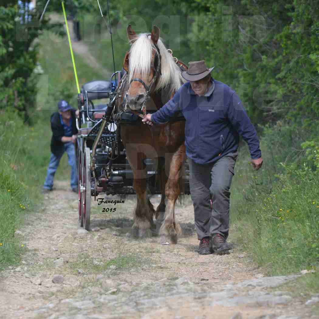 La Route Du Beaujolais 2015 - samedi 23 mai 2015 - parcours en matinée - 46