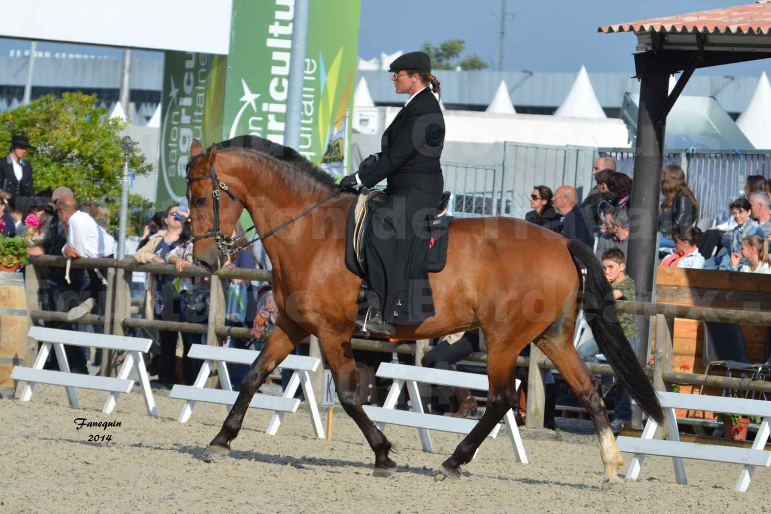 Salon Equitaine de Bordeaux en 2014 - concours Equitation de travail - Épreuve de Dressage - 03