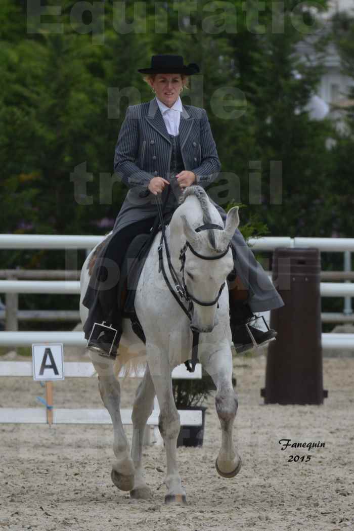 Salon Equitaine de Bordeaux 2015 - Concours d'Equitation de Travail avec chevaux Ibériques - W - 5