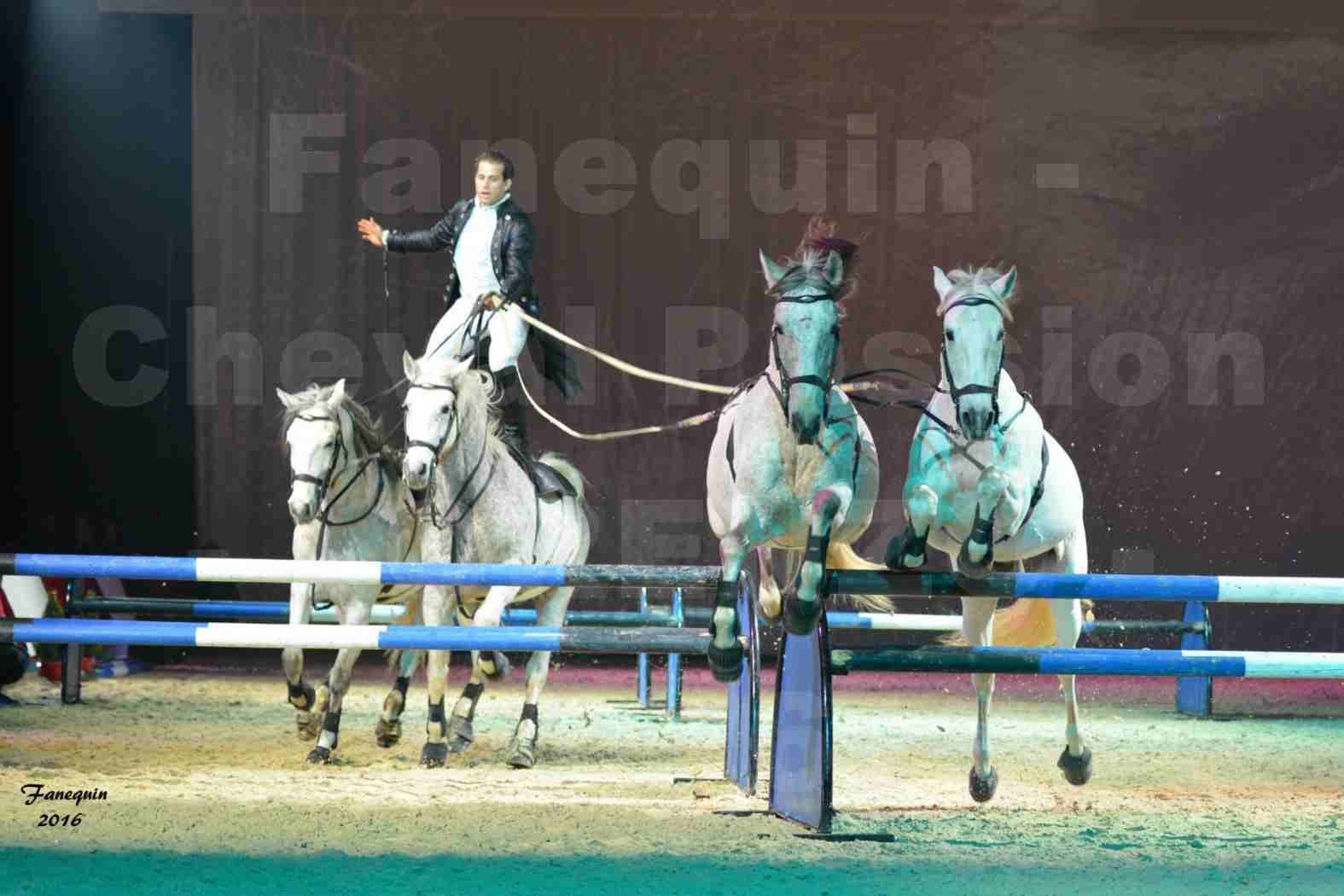 Cheval Passion 2016 - Spectacle les Crinières d'OR - LORENZO "Noir" - représentation du 23 janvier 2016 - 16